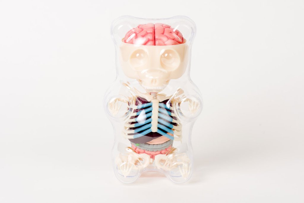 Gummi Bear Funny Anatomy-doll-MyOnlineBDShop-MyOnlineBDShop
